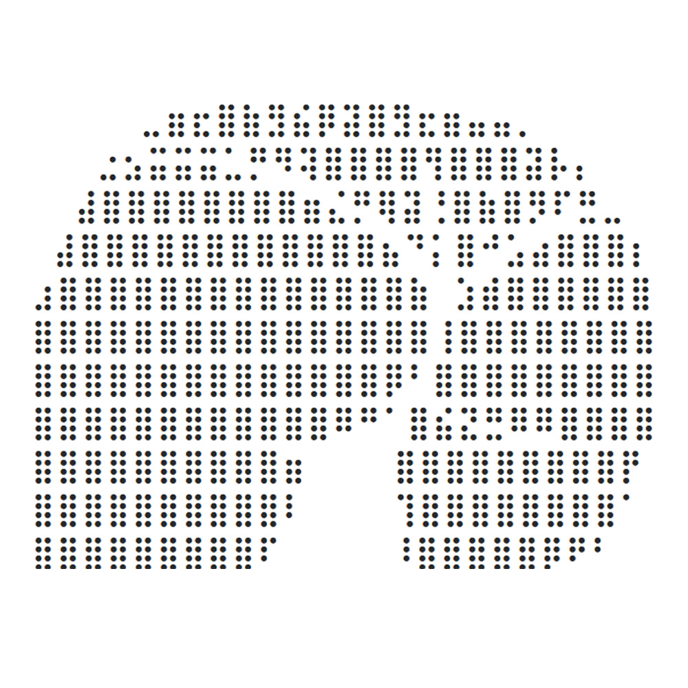 bagsolana.com favicon